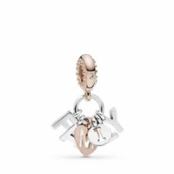 CHARM FAMILIA PERFECTA - 787785CZ