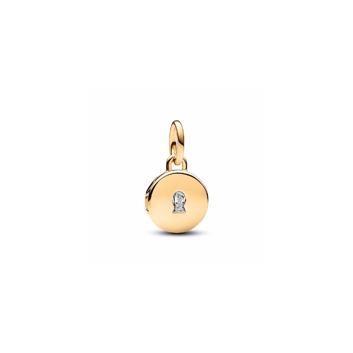 CHARM PANDORA MEDALLA GRABABLE - 763066C01